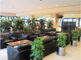 レストラン内のソファ席